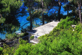  Seaside holiday house Prizba, Korcula - 9472  Призба